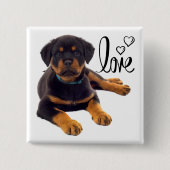 Hondenliefhebber Cute Puppy Love Rottweiler Vierkante Button 5,1 Cm (Voorkant)