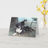 Hondenliefhebber, Dierenvriend, de Minnaar van de Kaart (Gele Bloem)