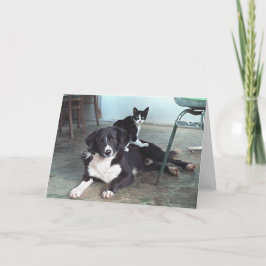 Hondenliefhebber, Dierenvriend, de Minnaar van de Kaart