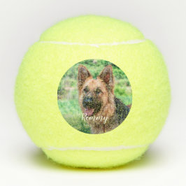 Hondenliefhebber - Foto van Pet Dog Dad Dog Foto Tennisballen