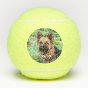 Hondenliefhebber - Foto van Pet Dog Dad Dog Foto Tennisballen
