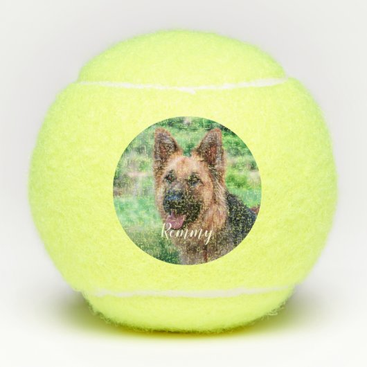 Hondenliefhebber - Foto van Pet Dog Dad Dog Foto Tennisballen (Voorkant)