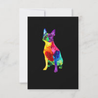 Hondenliefhebber geeft Boston Terrier Dog Colorful