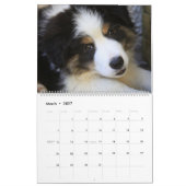 Hondenliefhebber gemengde-grenskalender kalender (Mar 2027)