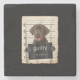 Hondenliefhebber   Guilty Chocolate Labrador Bad D Stenen Onderzetter