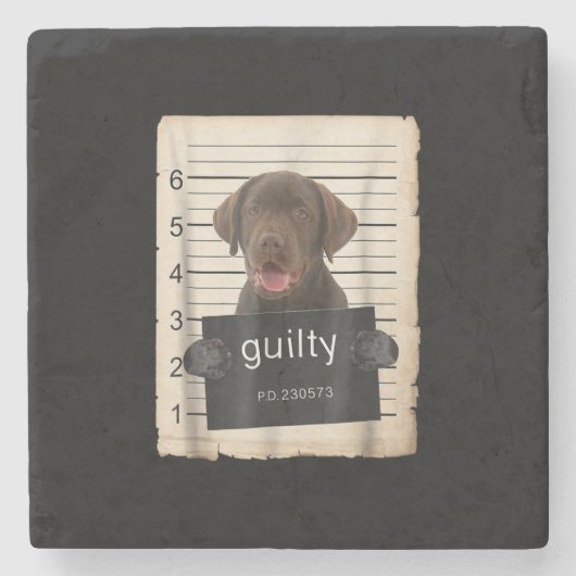 Hondenliefhebber | Guilty Chocolate Labrador Bad D Stenen Onderzetter (Voorkant)