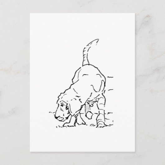 Hondenliefhebber Herinnering, Beagle Illustratie Briefkaart (Voorkant)