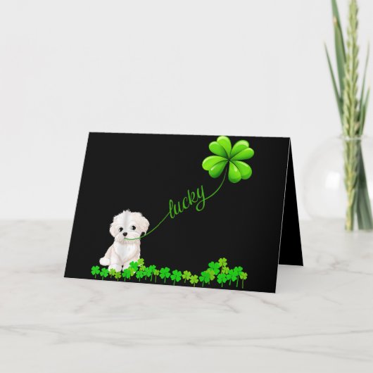 Hondenliefhebber | Irish Shamrock Lucky met Maltee Feestdagen Kaart (Voorkant)