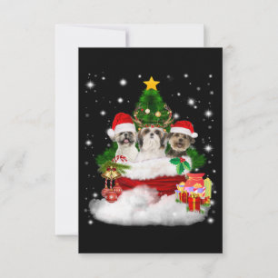 Hondenliefhebber   Kerst mooi kerstfeest sjiih Tzu Bedankkaart