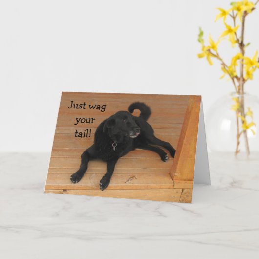 Hondenliefhebber verlate verjaardag kaart (Gele Bloem)