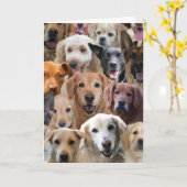 Hondenliefhebber-vogeldagkaart Kaart (Gele Bloem)