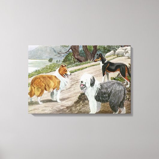Hondenliefhebbers Art Collie Trio Canvas Afdruk (Voorkant)