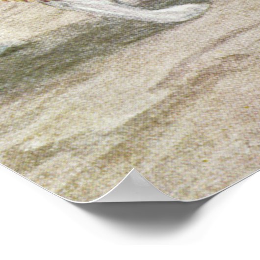  Hondenliefhebbers Art Collie Trio Poster (Hoek)