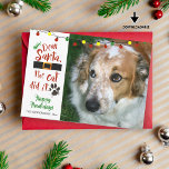 Hondenliefhebbers, "Beste kerstman, de kat deed he Feestdagenkaart<br><div class="desc">Een leuke feestelijke groet met je hond. De titel zegt: "Beste kerstman, de kat heeft het gedaan." De groet "Happy Howlidays" kan worden gewijzigd. Het achterzijontwerp is een traditioneel kerstpatroon van de streep van het snoep dat kan worden bewogen of worden geschrapt om extra foto's of tekst aan te passen....</div>