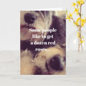 Hondenliefhebbers Kaart (Gele Bloem)