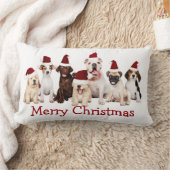 Hondenliefhebbers, kersthonden, kussen (Deken)