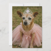 Hondenliefhebber's prachtige Quinceañera verjaarda Kaart (Achterkant)