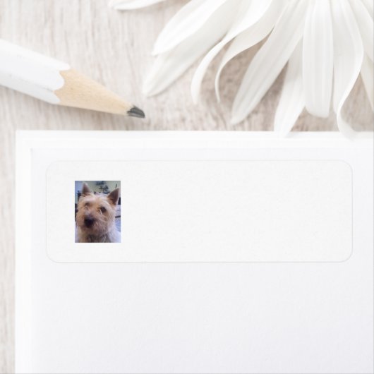 Hondenliefhebbers retouradreslabel etiket (Insitu)