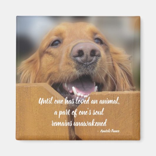 Hondenmagneet, totdat men van Animal Quote houdt Magneet (Voorkant)