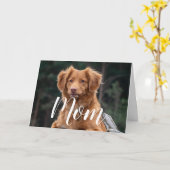 Hondenmoeder Grappig Gelukkige Verjaardag Schattig Kaart (Gele Bloem)