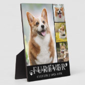 Hondenmonument 4 Foto VOOR ALTJD IN ONZE HARTEN Fotoplaat (Zijkant)