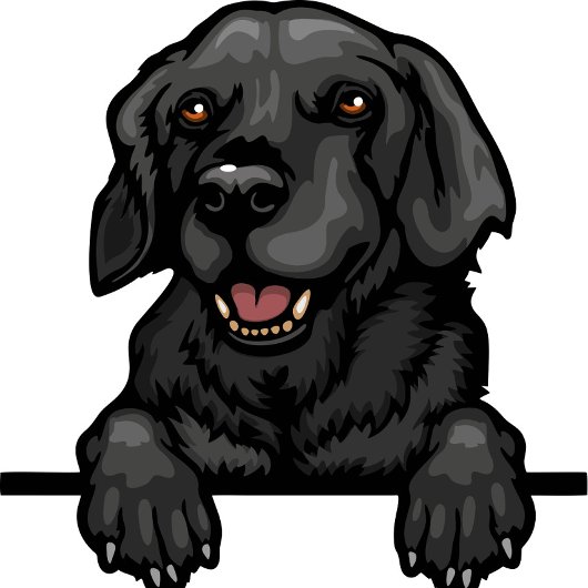 Hondennaam of Jouw naam, labrador retriever + pote Plunjezak