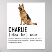 Hondennaamwoord Definitie Hond Mam Papa Hondenlief Poster (Voorkant)