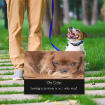 Hondenoppas Ruby Cavalier King Charles Spaniel