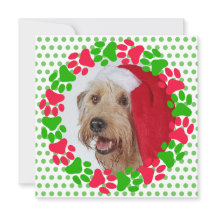 Hondenpootafdruk rood en groen krans foto