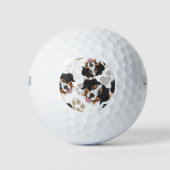 Hondenpootjes patroon Berner Berg Hond Golfballen (Voorkant)