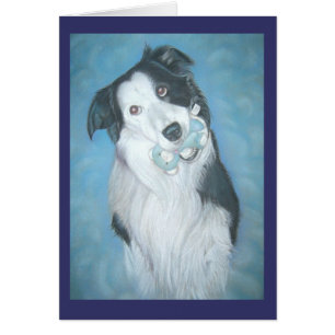 Hondenportret van schattige border collie met tedd