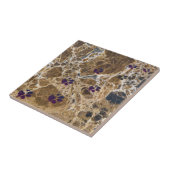 Hondenpoten Marmer Bruin | Keramische Tegel Tegeltje (Zijkant)