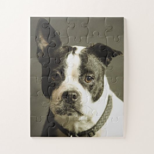 HONDENPuzzel, ZWART & WITTE HOND Legpuzzel (Verticaal)