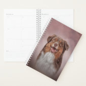 Hondenras Australian Shepherd Planner (Display)