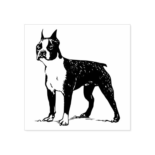 Hondenras Boston Terrier Rubberstempel (Afrduk)