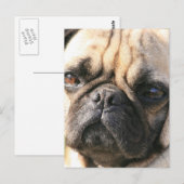 Hondenras Briefkaart (Voorkant / Achterkant)
