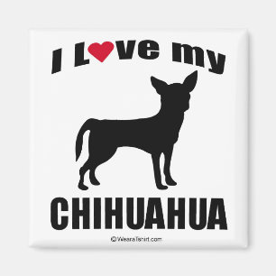 "HONDENRAS" - CHIHUAHUA - "IK HOEF VAN MIJN CHIHUA MAGNEET