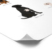 Hondenras Collectie Poster (Hoek)