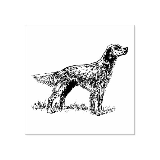 Hondenras Engelse Setter Rubberstempel (Afrduk)