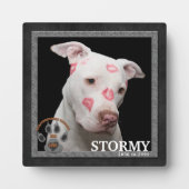 Hondenras Memorial Staffordshire Terrier Fotoplaat (Voorkant)