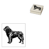 Hondenras Newfoundland Rubberstempel (Gestempeld)