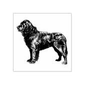Hondenras Newfoundland Rubberstempel (Afrduk)