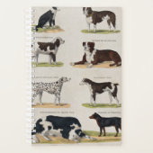  hondenras planner (Voorkant)