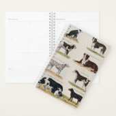  hondenras planner (Display)
