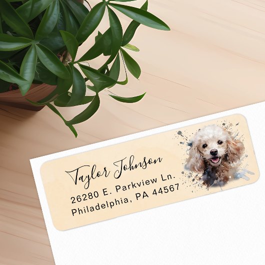 Hondenras Poodle Retouradreslabel Etiket