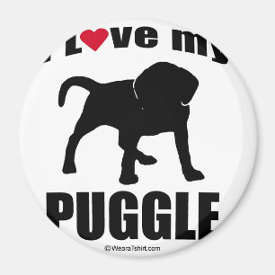 "HONDENRAS" - PUGGLE - "IK VIND MIJN POGGLE BEHOOR MAGNEET