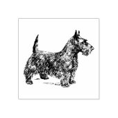 Hondenras Schotse Terrier Rubberstempel (Afrduk)