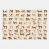  Hondenras Tekeningen gepatenteerd Inpakpapier Vel (Voorkant 3)