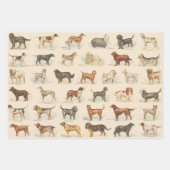  Hondenras Tekeningen gepatenteerd Inpakpapier Vel (Voorkant 2)