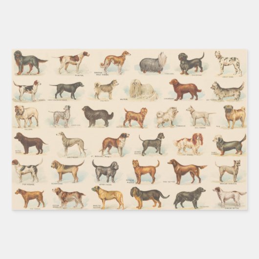  Hondenras Tekeningen gepatenteerd Inpakpapier Vel (Voorkant 2)